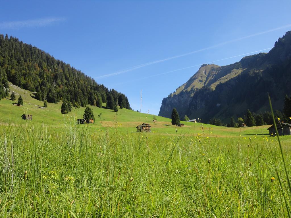 Haus Alpina Hotel Au (Vorarlberg) ภายนอก รูปภาพ