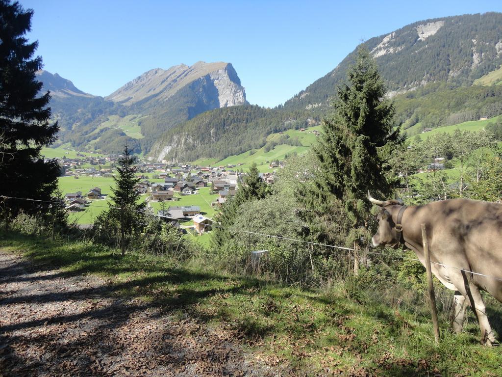 Haus Alpina Hotel Au (Vorarlberg) ภายนอก รูปภาพ