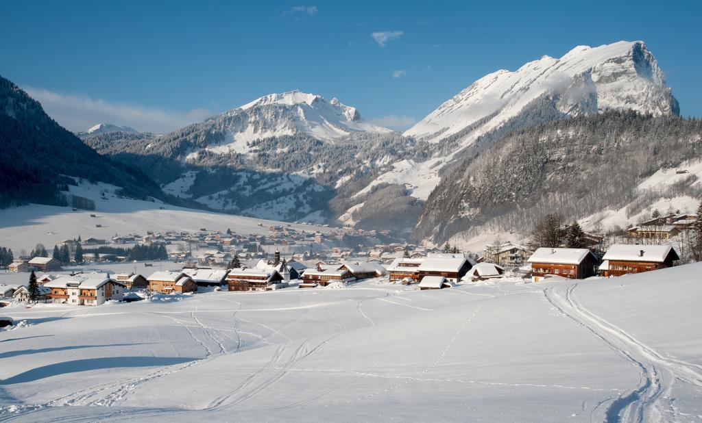 Haus Alpina Hotel Au (Vorarlberg) ภายนอก รูปภาพ