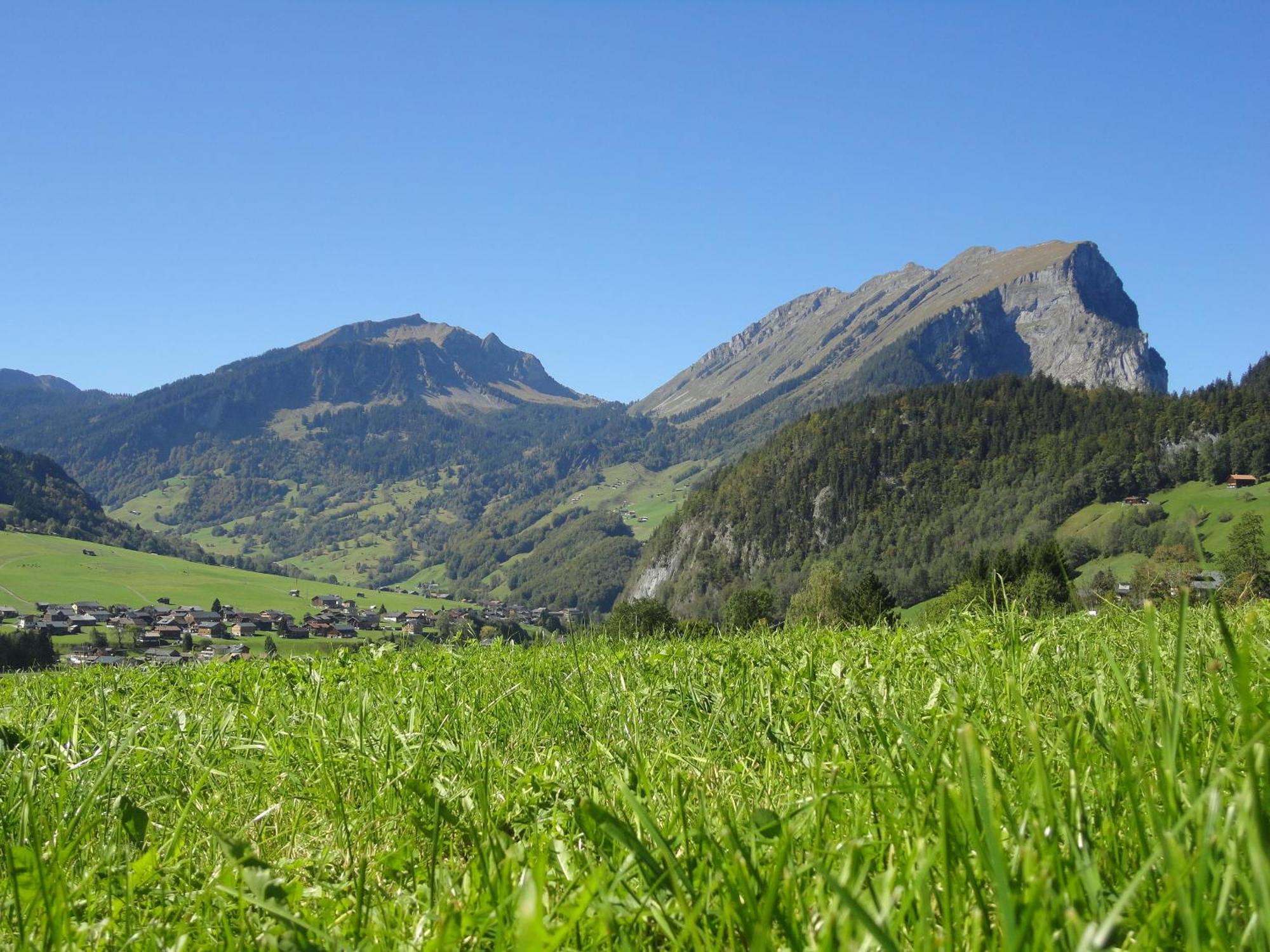 Haus Alpina Hotel Au (Vorarlberg) ภายนอก รูปภาพ